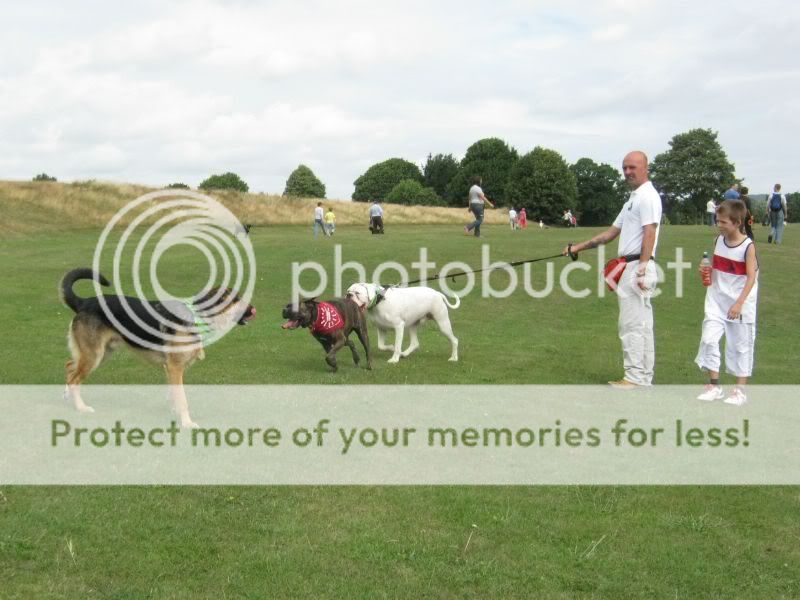 Mote Park Dog Walk - July Maidstone-2010-07-18-18