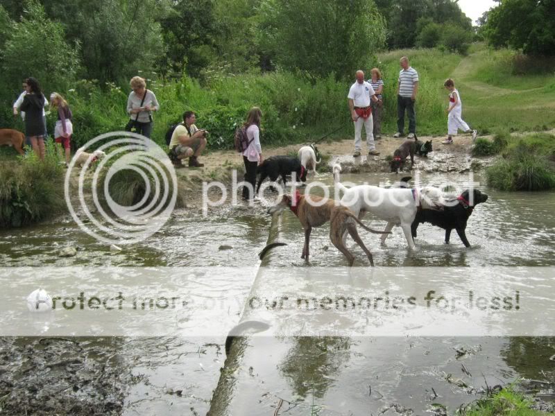 Mote Park Dog Walk - July Maidstone-2010-07-18-26