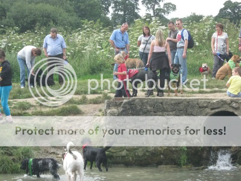 Mote Park Dog Walk - July Maidstone-2010-07-18-33