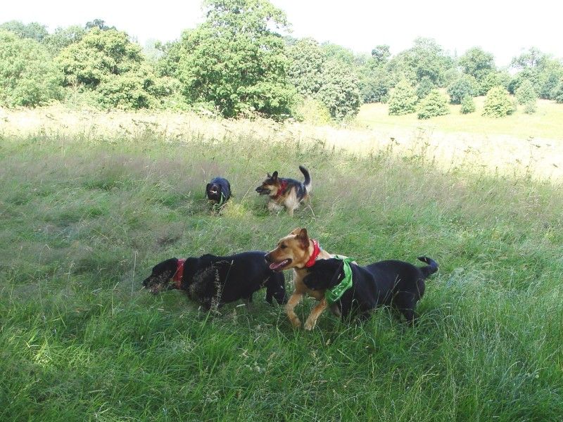 Mote Park Walk - 15 July 2012 - PHOTOS DSC05853