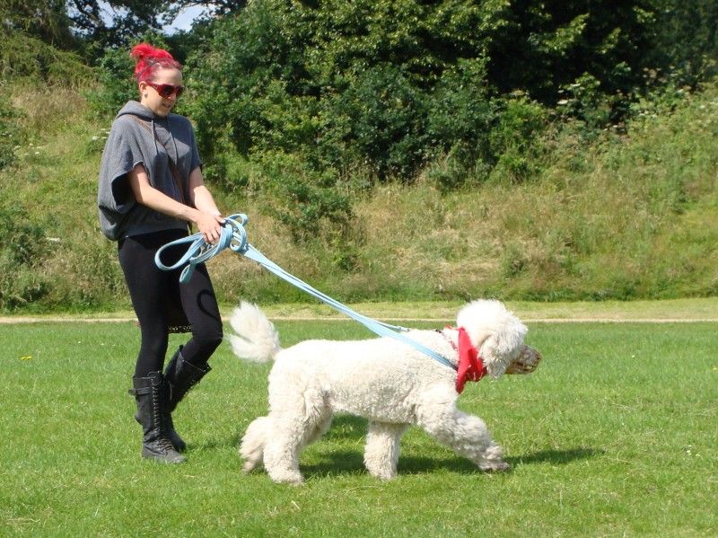 Mote Park Walk - 15 July 2012 - PHOTOS DSC05889