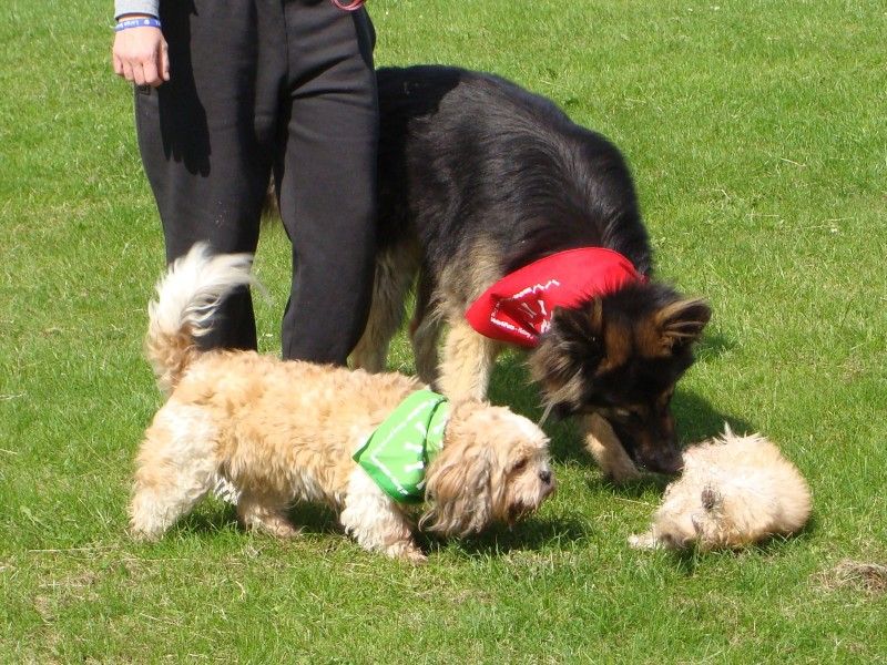 Mote Park Walk - 15 July 2012 - PHOTOS DSC05897