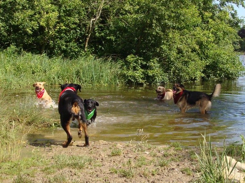 Mote Park Walk - 15 July 2012 - PHOTOS DSC05925