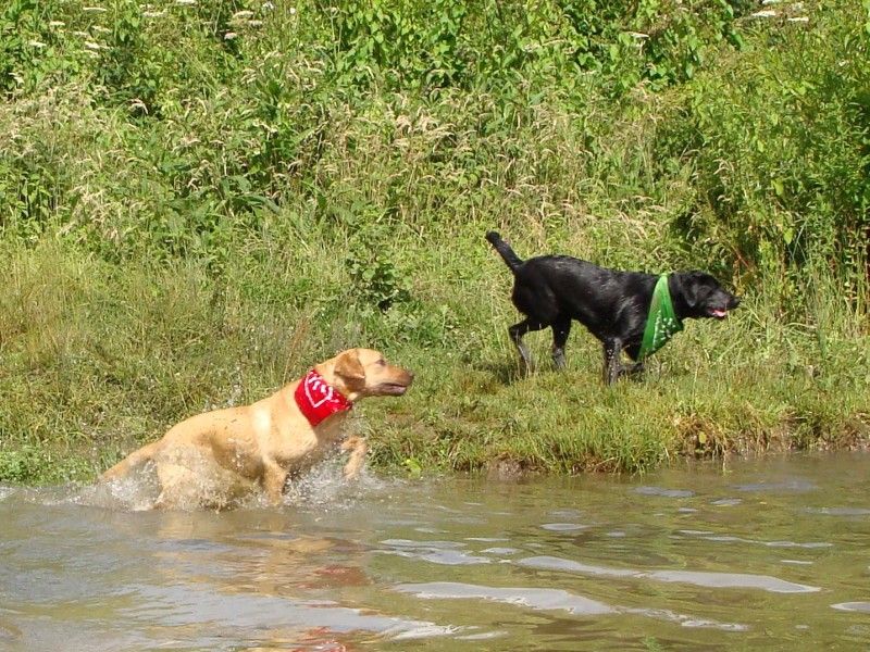 Mote Park Walk - 15 July 2012 - PHOTOS DSC05964