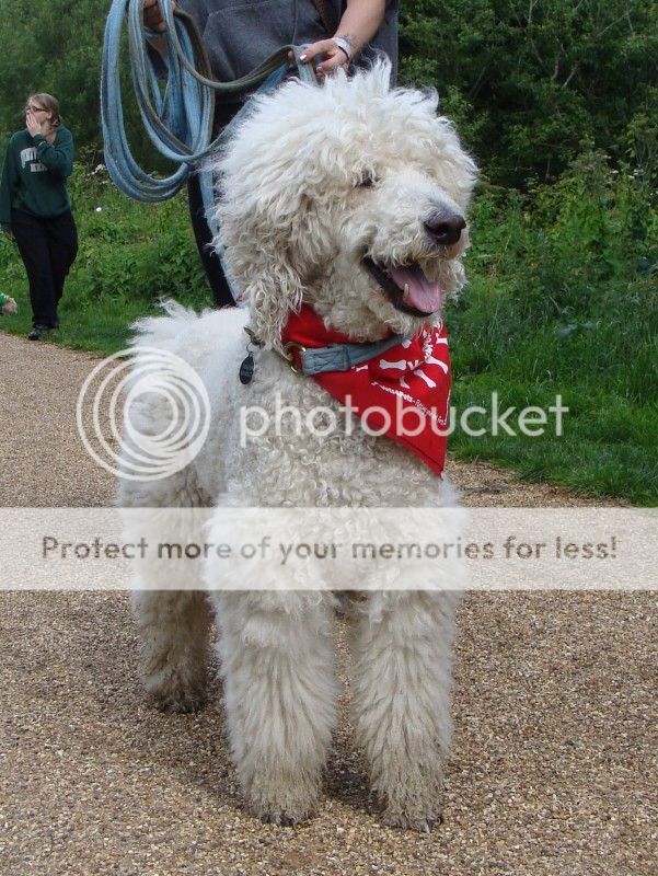 Mote Park Walk - 15 July 2012 - PHOTOS DSC06039