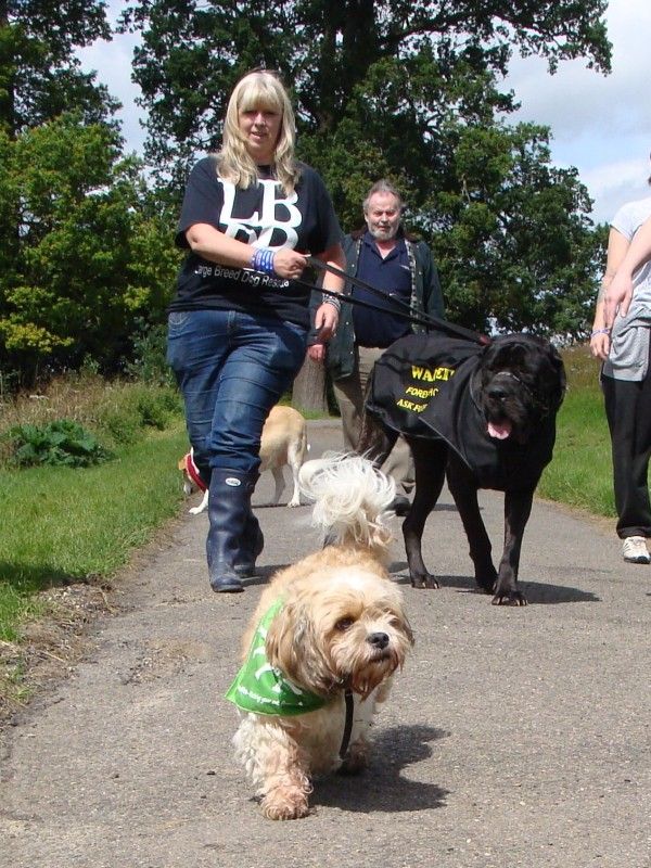 Mote Park Walk - 15 July 2012 - PHOTOS DSC06055