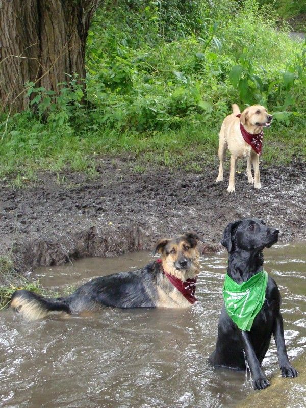 Mote Park Walk - 15 July 2012 - PHOTOS DSC06080