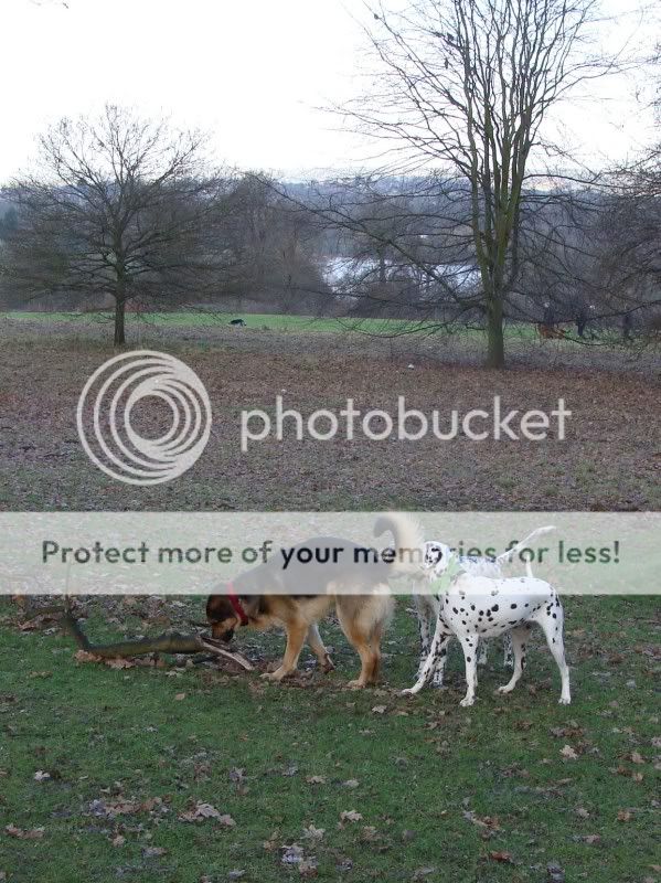 Mote Park Maidstone Walk - Sunday 16 January 2011, 10 a.m. Maidstone-2011-01-1602