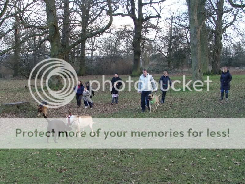 Mote Park Maidstone Walk - Sunday 16 January 2011, 10 a.m. Maidstone-2011-01-1606