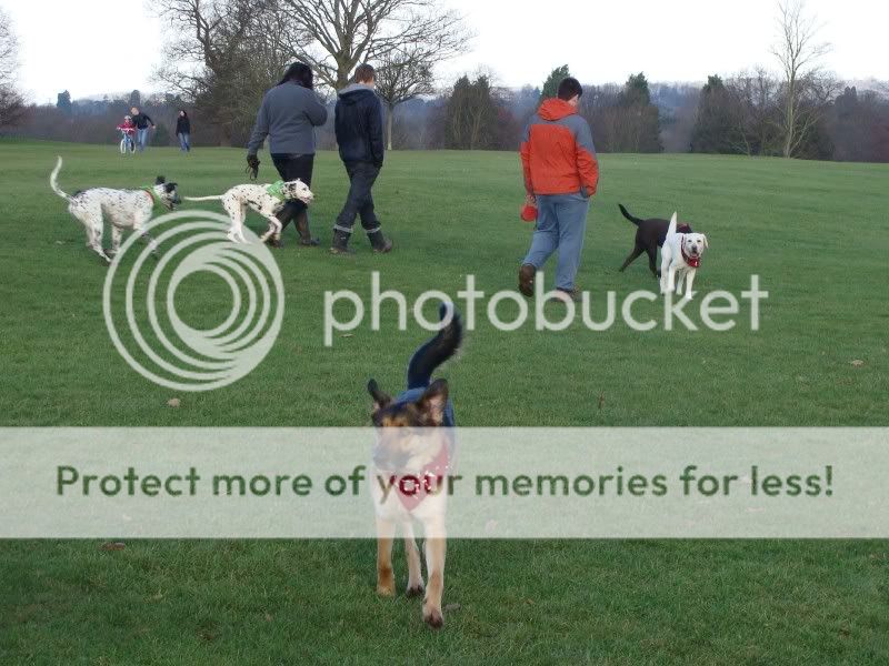 Mote Park Maidstone Walk - Sunday 16 January 2011, 10 a.m. Maidstone-2011-01-1617