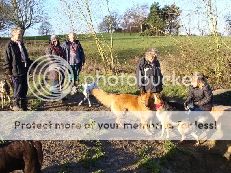 Mote Park Maidstone Walk - Sunday 16 January 2011, 10 a.m. Maidstone-2011-01-1626