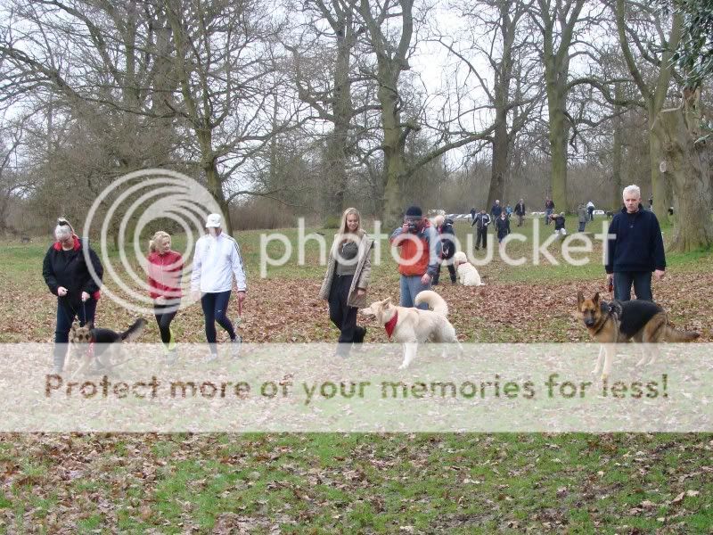 Mote Park Walk - Sunday 13th Feb 2011, 10 a.m.  Maidstone-2011-02-1308