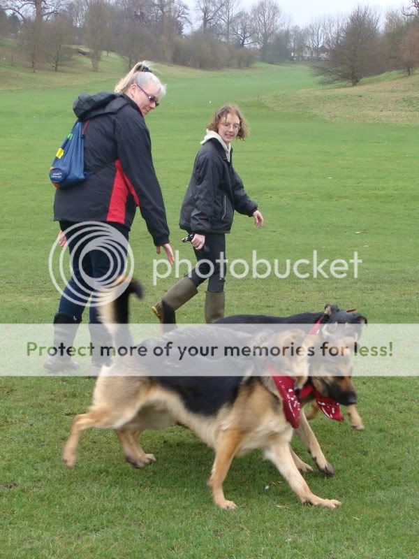 Mote Park Walk - Sunday 13th Feb 2011, 10 a.m.  Maidstone-2011-02-1316