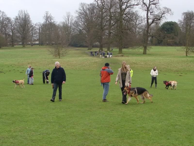 Mote Park Walk - Sunday 13th Feb 2011, 10 a.m.  Maidstone-2011-02-1319