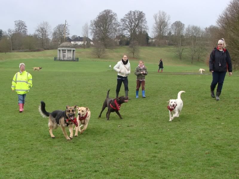 Mote Park Walk - Sunday 13th Feb 2011, 10 a.m.  Maidstone-2011-02-1321