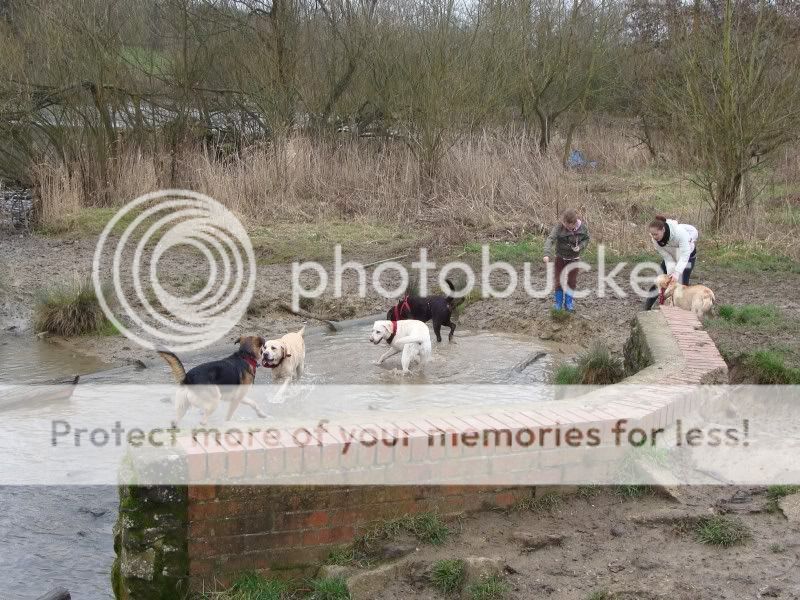 Mote Park Walk - Sunday 13th Feb 2011, 10 a.m.  Maidstone-2011-02-1324