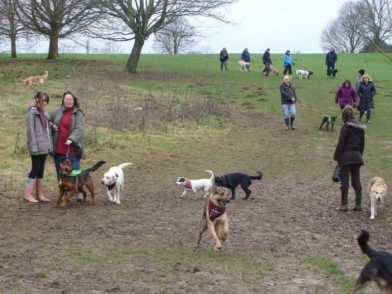 Mote Park Walk - Sunday 13th Feb 2011, 10 a.m.  Maidstone-2011-02-1328