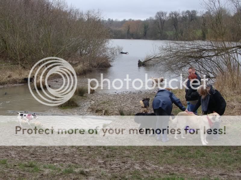 Mote Park Walk - Sunday 13th Feb 2011, 10 a.m.  Maidstone-2011-02-1331