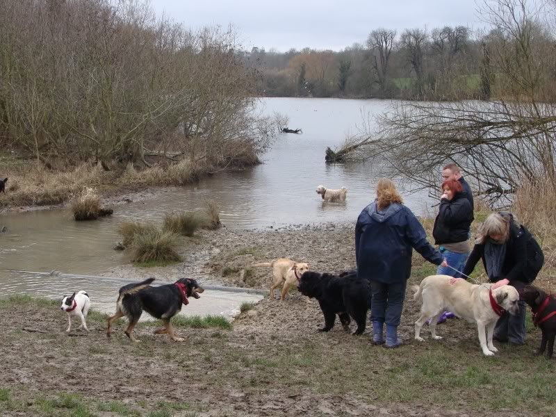 Mote Park Walk - Sunday 13th Feb 2011, 10 a.m.  Maidstone-2011-02-1332