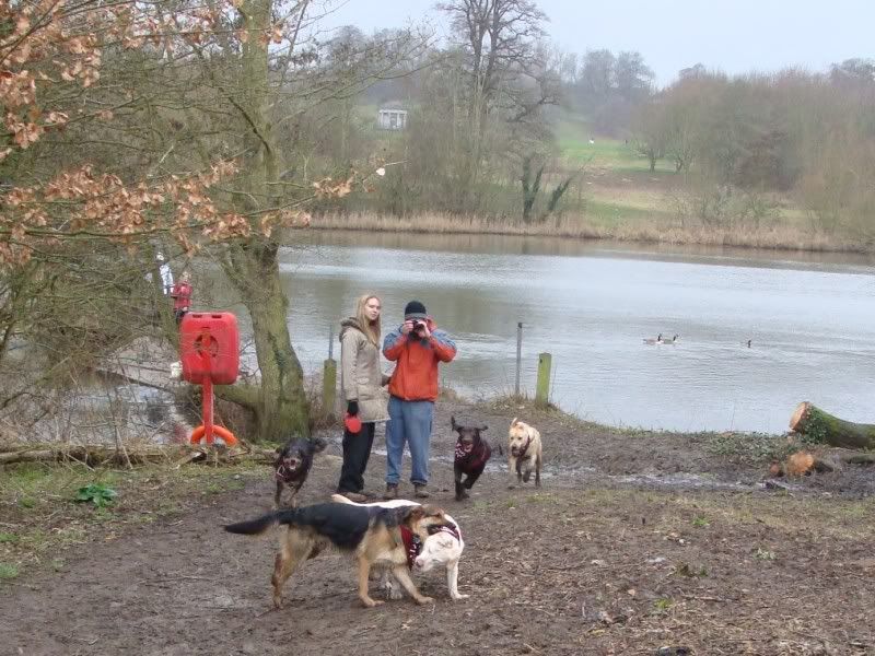 Mote Park Walk - Sunday 13th Feb 2011, 10 a.m.  Maidstone-2011-02-1335