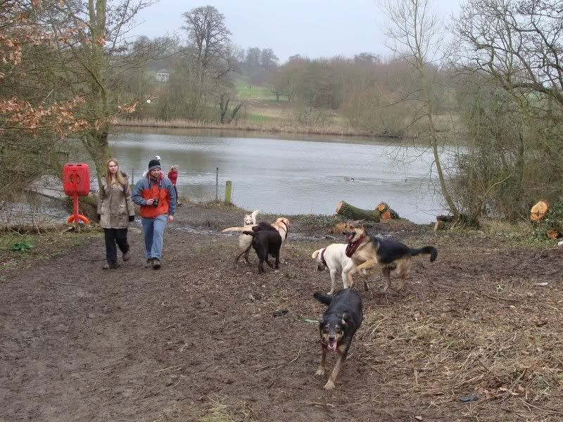 Mote Park Walk - Sunday 13th Feb 2011, 10 a.m.  Maidstone-2011-02-1336