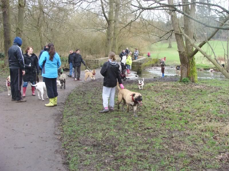 Mote Park Walk - Sunday 13th Feb 2011, 10 a.m.  Maidstone-2011-02-1348