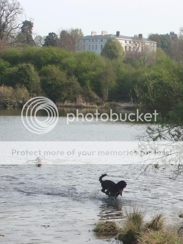 Mote Park Walk - Sunday 10th April 2011, 10 a.m. Maidstone-2011-04-1030