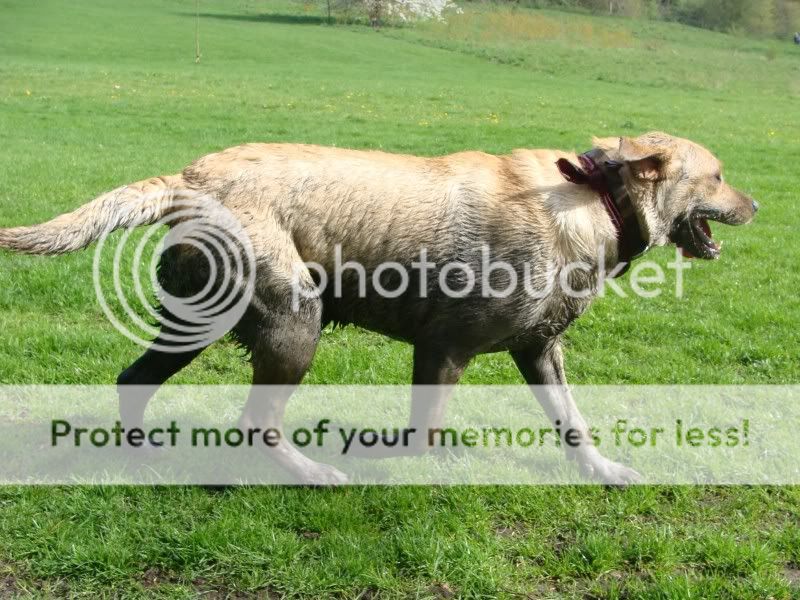 Mote Park Walk - Sunday 10th April 2011, 10 a.m. Maidstone-2011-04-1046