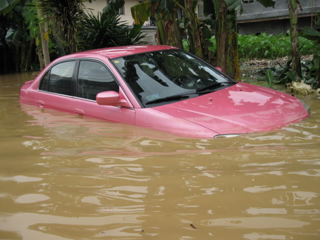 flooded vehicles aftermath IMG_0506