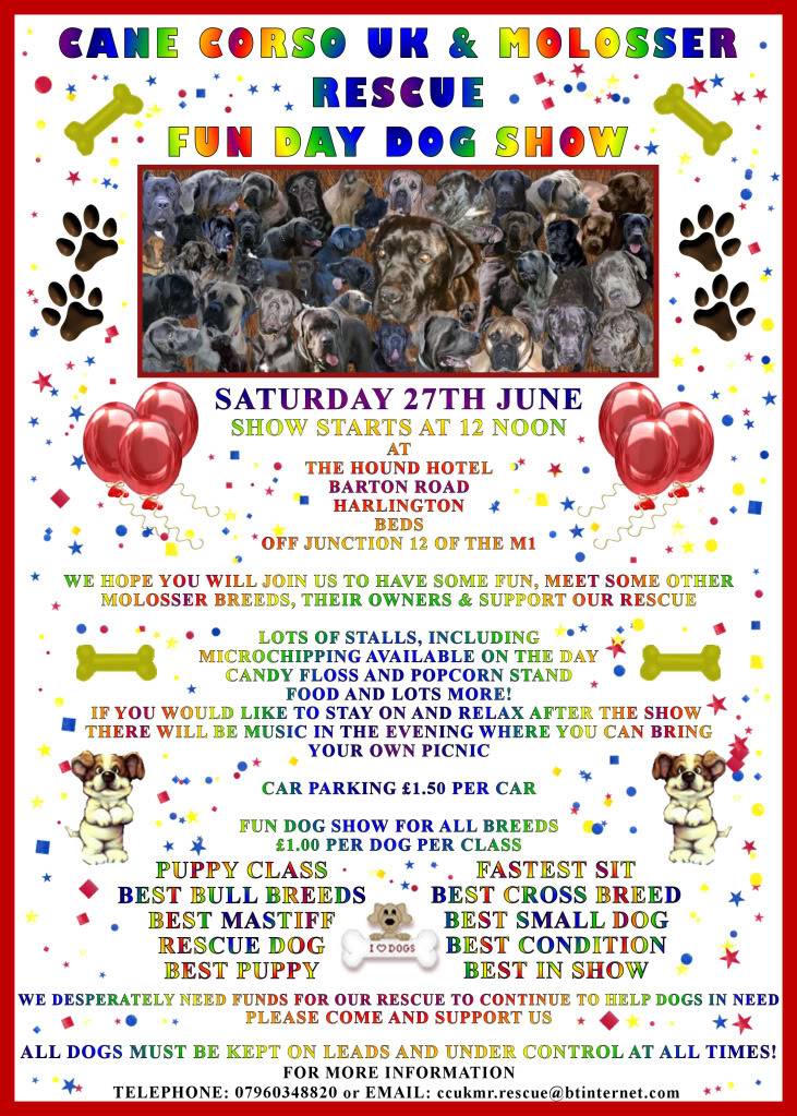 The Cane Corso UK & Molosser Rescue Bedford Funday Bedfunday09