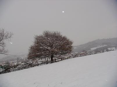 Llegó la nieve DSC03957