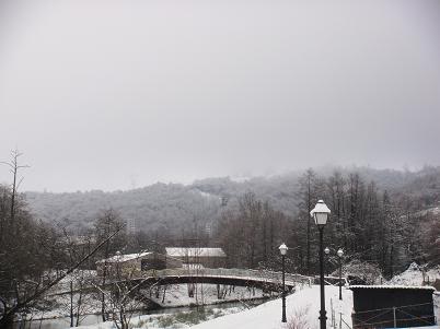 Llegó la nieve DSC03973