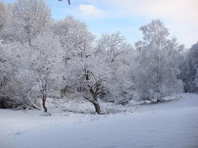 Llegó la nieve DSC04054