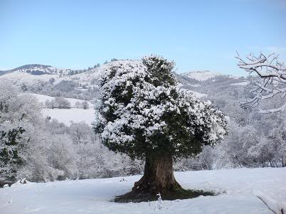 Llegó la nieve DSC04055