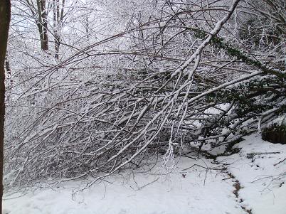 Llegó la nieve DSC04067