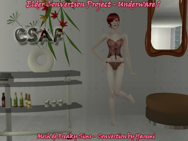 Update Simmer 18 de Febrero 2010 Underware1