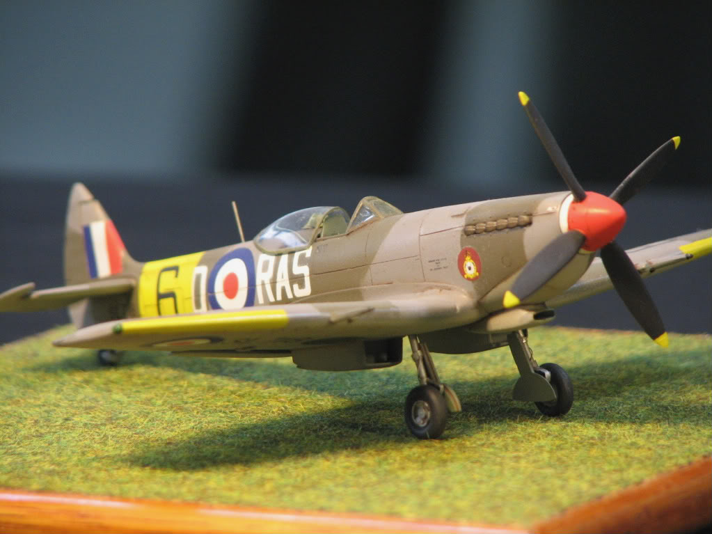 Spitfire mkXVI [HELLER] 1/72  (VINTAGE) IMG_4867