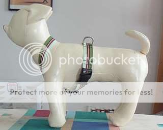 Animali - Tutto ciò che li riguarda! ;) How-To-Make-A-Small-Dog-Harness-With-Grosgrain-Rib