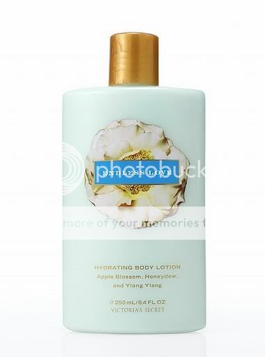 Dưỡng thể Victoria' Secret – Hàng xách tay từ Mỹ 1269081175_EndlessloveHydratingbody