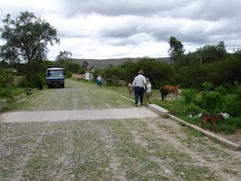 Bolivia DSC02084