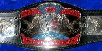 T.O.C. US Title Belt Macw_united_states_hvy