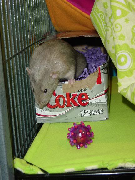 My ratlets' cage  :) *not dial-up friendly!* Polkadietcoke