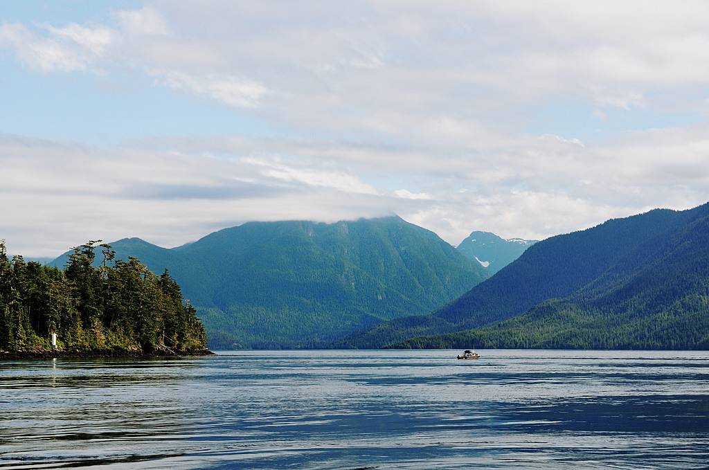 2013 Amérique du Nord: Partie 2 Ile de Vancouver - Port McNeill - Telegraph Cove DSC_1025