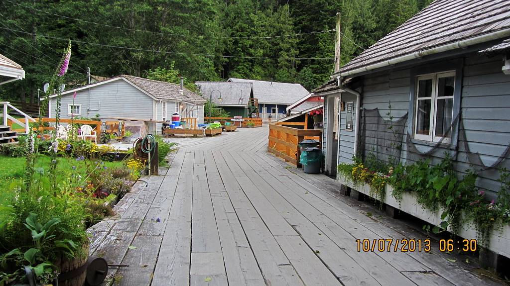 2013 Amérique du Nord: Partie 2 Ile de Vancouver - Port McNeill - Telegraph Cove IMG_4416