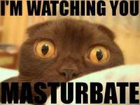 Caturday ! Imwatchingyoupcc