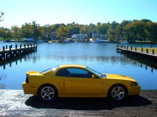 **Stang of the Month - Nov 09 - 6SPD04COBRA ** 6SPD04COBRAwater