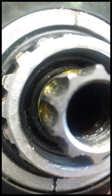 Despiece y mantenimiento motor Bosch Performance 2015 tutorial IMG-20150225-WA0005%20Copiar_zpsfttfp17f