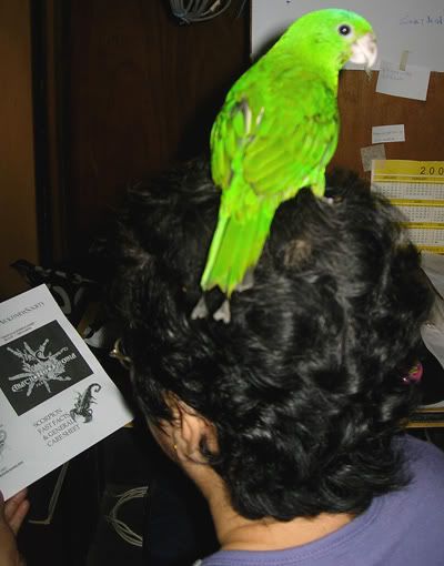 Pics of our lovable birds! - Page 2 Pikay1