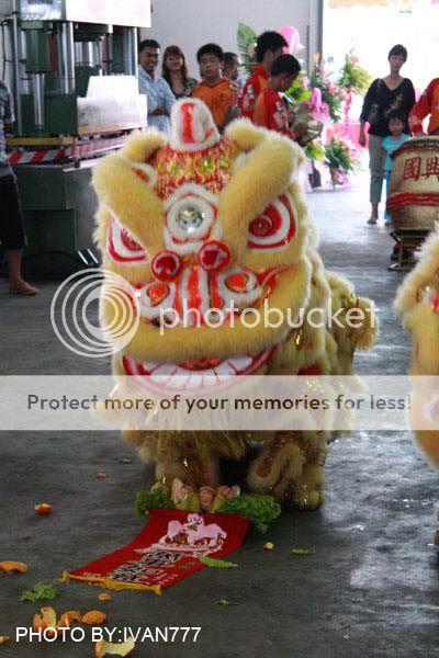 malaysia new year 2 IMG_9494