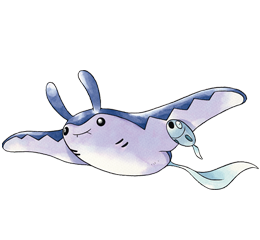 WATER POKEMON - Update ngày 03/03 Mantine2